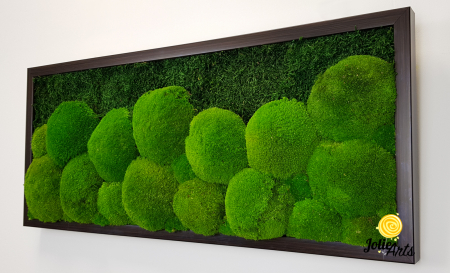 tablou-muschi-bombati-verde-deschis-si-muschi-plat [6]
