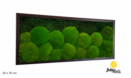 tablou-muschi-bombati-verde-deschis-si-muschi-plat [2]