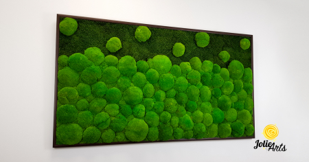 tablou-muschi-bombati-verde-deschis-si-muschi-plat [1]