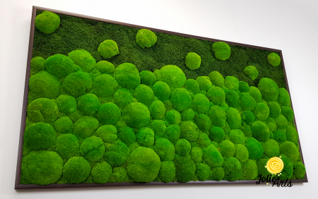 tablou-muschi-bombati-verde-deschis-si-muschi-plat [3]