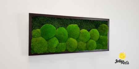 tablou-muschi-bombati-verde-deschis-si-muschi-plat [5]