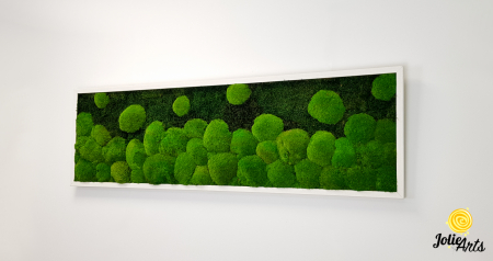 tablou-muschi-bombati-verde-deschis-si-muschi-plat [2]