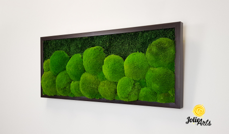 tablou-muschi-bombati-verde-deschis-si-muschi-plat [3]
