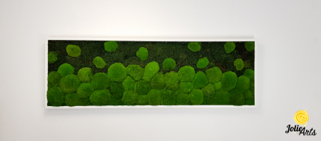 tablou-muschi-bombati-verde-deschis-si-muschi-plat [3]