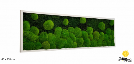 tablou-muschi-bombati-verde-deschis-si-muschi-plat [1]