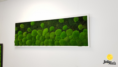 tablou-muschi-bombati-verde-deschis-si-muschi-plat [2]
