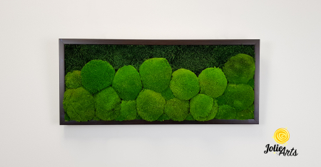 tablou-muschi-bombati-verde-deschis-si-muschi-plat [4]