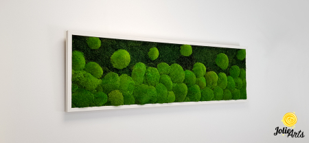 tablou-muschi-bombati-verde-deschis-si-muschi-plat [4]