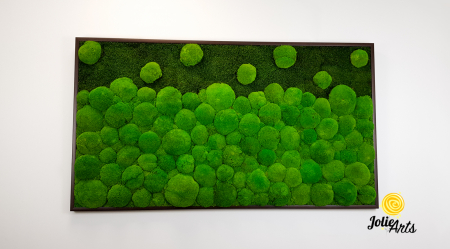 tablou-muschi-bombati-verde-deschis-si-muschi-plat [2]