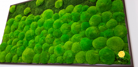 tablou-muschi-bombati-verde-deschis-si-muschi-plat [5]