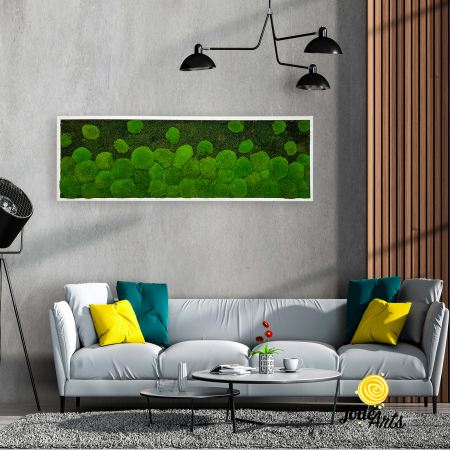 Tablouri Muschi - tablou-muschi-bombati-verde-deschis-si-muschi-plat