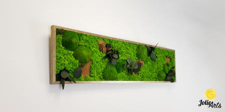 Tablou Forest Line – ciuperci stabilizate, mușchi bombat și licheni, ramă argintie, 40 x 130 cm [4]