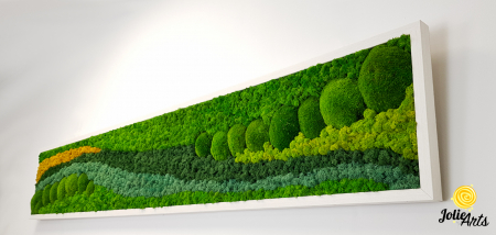 Tablou Pacific Format Panoramic cu licheni și mușchi naturali stabilizați [5]