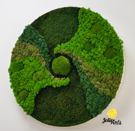 Tablou Primăvară rotund – mușchi bombat, mușchi plat și licheni naturali stabilizați, ramă albă 60 cm [4]