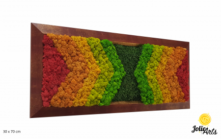 Tablouri - Model Rainbow Stripes, Tablou Licheni si Muschi Naturali Stabilizati
