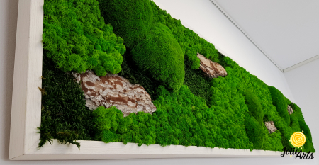 Tablou Scoarță Clasică cu Mușchi de Pădure, Scoarță de Pin și Licheni Naturali [4]