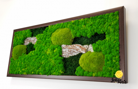Tablou Scoarță Clasică cu Mușchi de Pădure, Scoarță de Pin și Licheni Naturali [5]