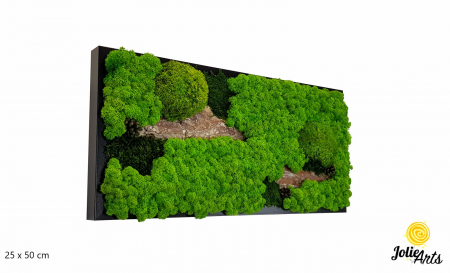 Tablouri - Tablou Scoarță Clasică cu Mușchi de Pădure, Scoarță de Pin și Licheni Naturali