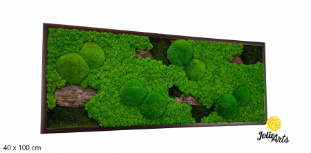 Tablou Scoarță Clasică cu Mușchi de Pădure, Scoarță de Pin și Licheni Naturali [1]