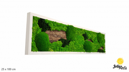 Tablou Scoarță Clasică cu Mușchi de Pădure, Scoarță de Pin și Licheni Naturali [1]