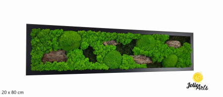 Toate Produsele - Tablou Scoarță Clasică cu Mușchi de Pădure, Scoarță de Pin și Licheni Naturali