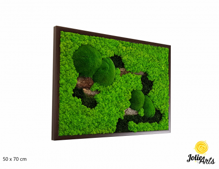 Tablouri - Tablou Scoarță Clasică cu Mușchi de Pădure, Scoarță de Pin și Licheni Naturali