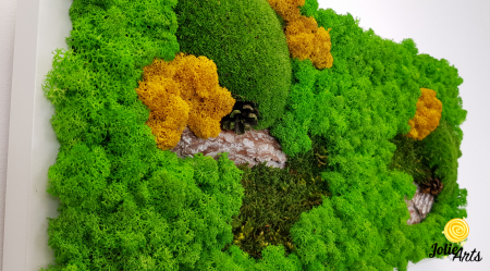 Tablou Scoarță cu Galben Jolie Arts – Design Natural cu Licheni și Mușchi [5]