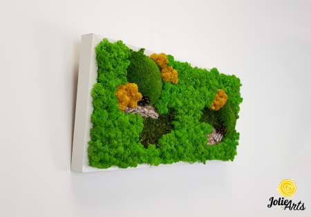 Tablou Scoarță cu Galben Jolie Arts – Design Natural cu Licheni și Mușchi [3]