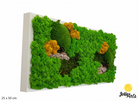Tablouri - Tablou Scoarță cu Galben Jolie Arts – Design Natural cu Licheni și Mușchi