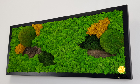 Tablou Scoarță cu Galben Jolie Arts – Design Natural cu Licheni și Mușchi [5]