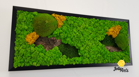 Tablou Scoarță cu Galben Jolie Arts – Design Natural cu Licheni și Mușchi [6]