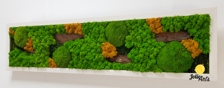 Tablou Scoarță cu Galben Jolie Arts – Design Natural cu Licheni și Mușchi [4]