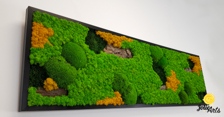 Tablou licheni, muschi si plante naturale stabilizate. Model Scoarta cu galben, Jolie Arts, www.tablouriculicheni.ro-2 [4]