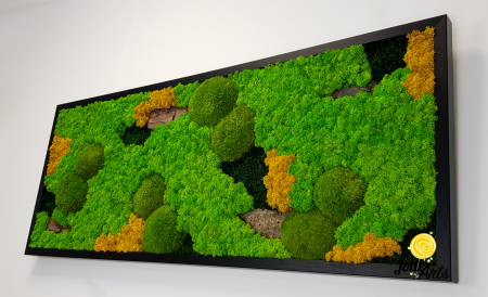 Tablou Scoarță cu Galben Jolie Arts – Licheni, Mușchi și Scoarță Naturală [6]