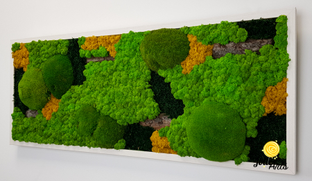 Tablou licheni, muschi si plante naturale stabilizate. Model Scoarta cu galben, Jolie Arts, www.tablouriculicheni.ro-2 [5]