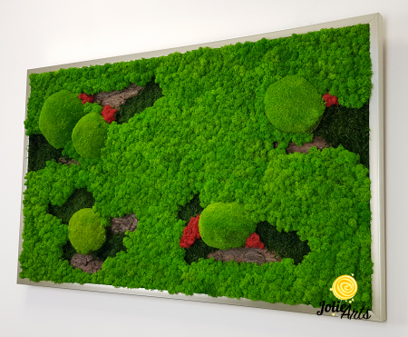 Model Scoarta cu Rosu, tablou licheni, muschi si scoarta pin [4]
