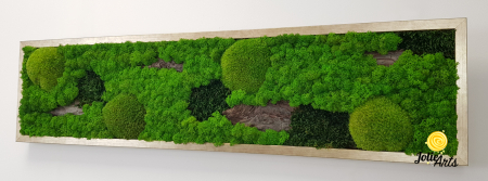 Tablou Scoarță cu mușchi de pădure și licheni stabilizați [4]