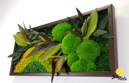 Model Soare Clasic - tablou cu licheni, mușchi stabilizați și plante naturale [6]