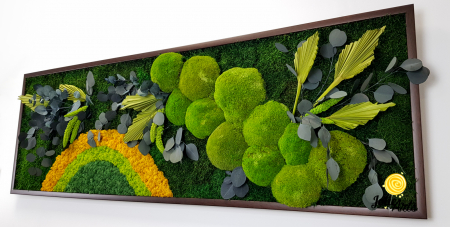 Model Soare Clasic - tablou cu licheni, mușchi stabilizați și plante naturale [6]