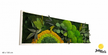 Model Soare Clasic - tablou cu licheni, mușchi stabilizați și plante naturale [1]
