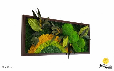 Model Soare Clasic - tablou cu licheni, mușchi stabilizați și plante naturale [1]