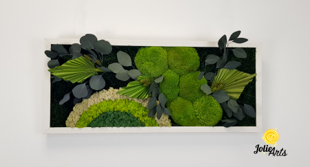 Tablou licheni, muschi si plante naturale stabilizate Jolie Arts, model Soare Alb, rama argintie, 40 x 100 cm, www.tablouriculicheni.ro-3 [2]