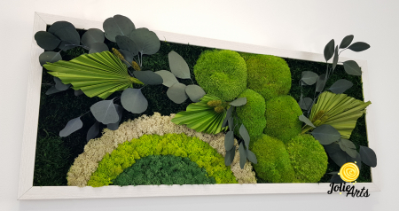 Tablou licheni, muschi si plante naturale stabilizate Jolie Arts, model Soare Alb, rama argintie, 40 x 100 cm, www.tablouriculicheni.ro-3 [4]