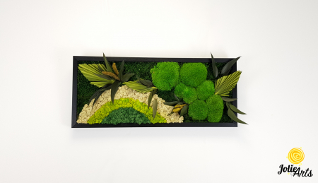 Model Soare cu Alb – licheni naturali, mușchi bombati, plante stabilizate Jolie Arts [3]