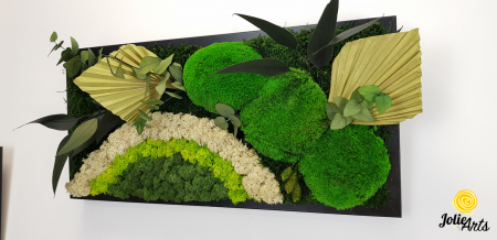 Model Soare cu Alb – licheni naturali, mușchi bombati, plante stabilizate Jolie Arts [4]