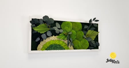 Tablou licheni, muschi si plante naturale stabilizate Jolie Arts, model Soare Alb, rama argintie, 40 x 100 cm, www.tablouriculicheni.ro-3 [3]