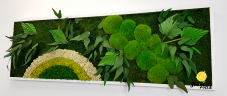 Model Soare cu Alb – licheni naturali, mușchi bombati, plante stabilizate Jolie Arts [5]