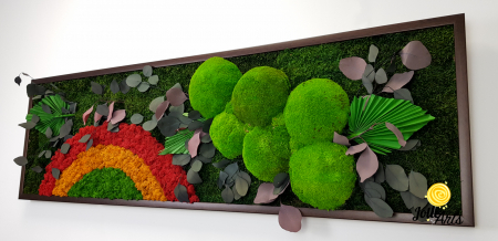 Tablou Soare cu Roșu – licheni, mușchi, plante conservate Jolie Arts [5]