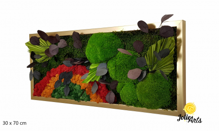 Toate Produsele - Tablou Soare cu Roșu – licheni, mușchi, plante conservate Jolie Arts