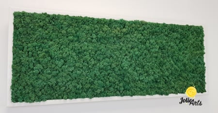 Model Verde Pacific [5]